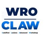 Wroclaw logo1 Wroclaw logo1